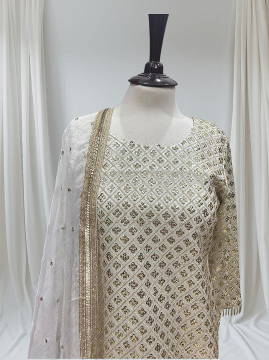 Chiffon Katori Elegance