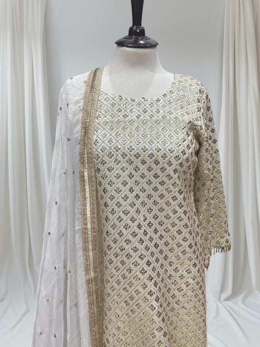 Chiffon Katori Elegance