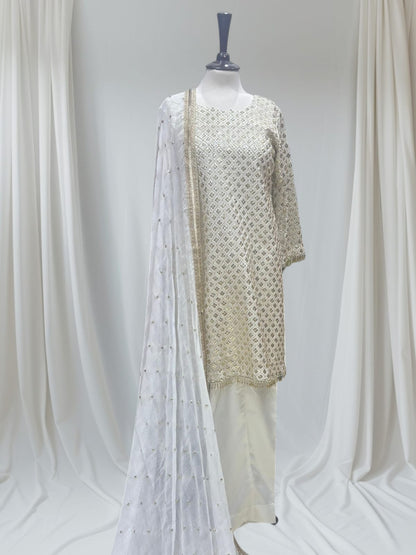 Chiffon Katori Elegance